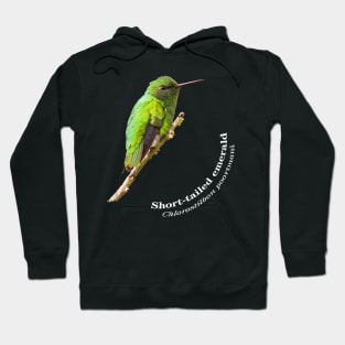 Short-tailed emerald hummingbird against the blue sky Hoodie